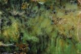 Polished Dendritic Opal (Moss Opal) - Australia #95454-1